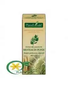 Extract din Amenti de Mesteacan Pufos 50ml PlantExtrakt, Tulburari Hormonale 2
