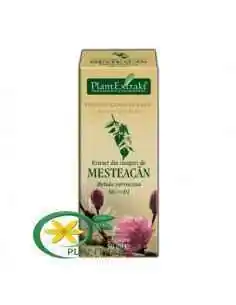Extract din Muguri de Mesteacan 50ml PlantExtrakt, Tulburari Hormonale 2