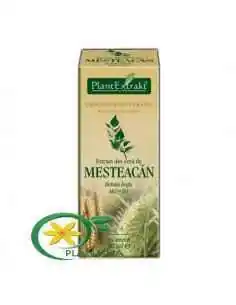 Extract din Seva de Mesteacan 50ml PlantExtrakt, Tulburari Hormonale 2
