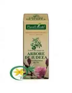 Extract din Muguri de Arbore de Iudeea 50ml PlantExtrakt, REMEDII NATURISTE 2