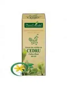 Extract din Mladite de Cedru 50ml PlantExtrakt, Sanatatea pielii 2