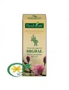 Extract din Muguri de Migdal 50ml PlantExtrakt, REMEDII NATURISTE 2