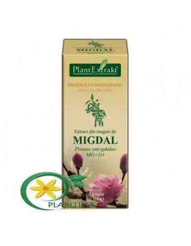 Extract din Muguri de Migdal 50ml PlantExtrakt, REMEDII NATURISTE