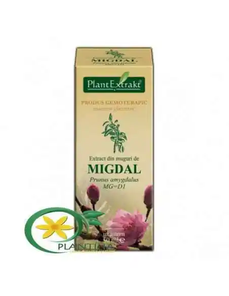 Extract din Muguri de Migdal 50ml PlantExtrakt, REMEDII NATURISTE