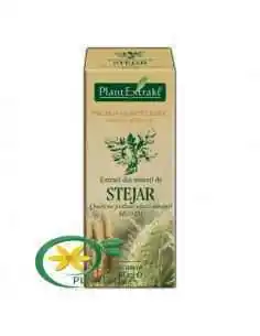 Extract din Amenţi de Stejar 50ml PlantExtrakt, REMEDII NATURISTE 2