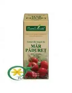 Extract din Muguri de Mar Paduret 50ml PlantExtrakt, Stres 2