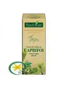Extract din Mladite de Caprifoi 50ml PlantExtrakt, REMEDII NATURISTE 2