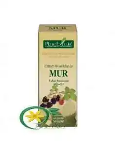 Extract din Mladite de Mur 50ml PlantExtrakt, REMEDII NATURISTE 2