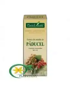 Extract din Mladite de Paducel 50ml PlantExtrakt, Stres 2