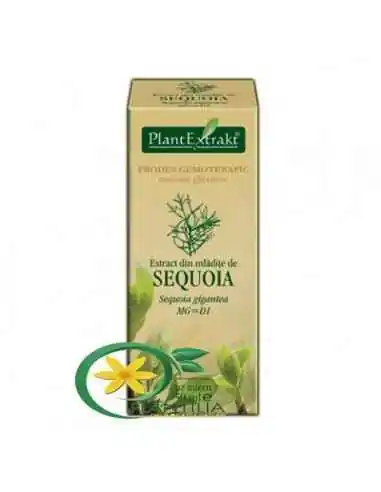 Extract din Mladite de Sequoia 50ml PlantExtrakt, REMEDII NATURISTE