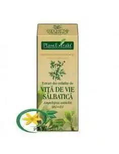 Extract din Mladite de Vita de Vie Salbatica 50ml PlantExtrakt, REMEDII NATURISTE 2