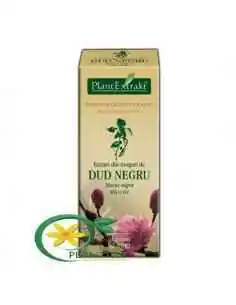 Extract din Muguri de Dud Negru 50ml PlantExtrakt, Terapia Diabetului 2