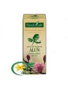 Extract din Muguri de Alun 50ml PlantExtrakt, Splina si pancreas 2