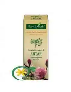 Extract din Muguri de Artar 50ml PlantExtrakt, REMEDII NATURISTE 2