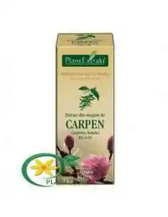 Extract din Muguri de Carpen 50ml PlantExtrakt, REMEDII NATURISTE 2