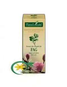 Extract din Muguri de Fag 50ml PlantExtrakt, Slabire 2
