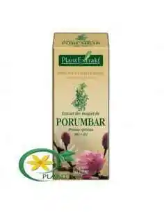 Extract din Muguri de Porumbar 50ml PlantExtrakt, REMEDII NATURISTE 2