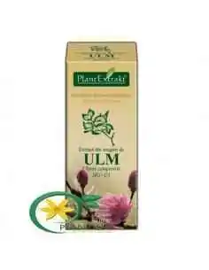 Extract din Muguri de Ulm 50ml PlantExtrakt, Sanatatea pielii 2