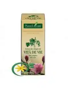 Extract din Muguri de Vita de Vie 50ml PlantExtrakt, REMEDII NATURISTE 2