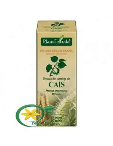 Extract din Seminte de Cais 50ml PlantExtrakt, REMEDII NATURISTE
