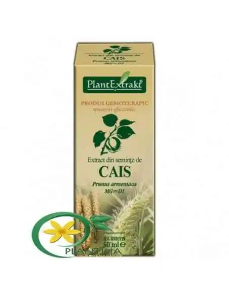 Extract din Seminte de Cais 50ml PlantExtrakt, REMEDII NATURISTE