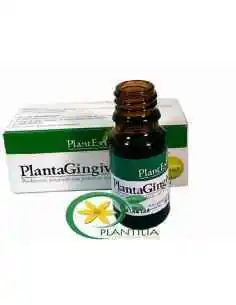 Plantagingival 10ml PlantExtrakt, REMEDII NATURISTE 2