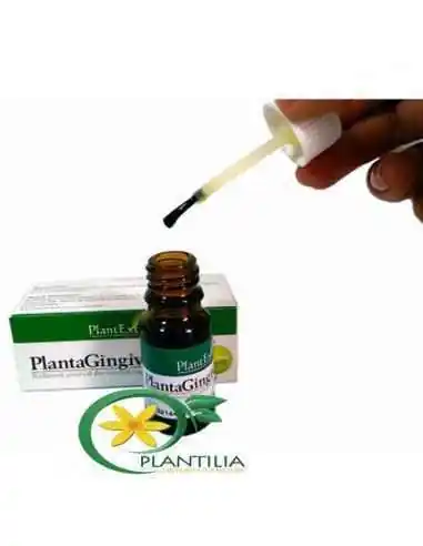 Plantagingival 10ml PlantExtrakt, REMEDII NATURISTE