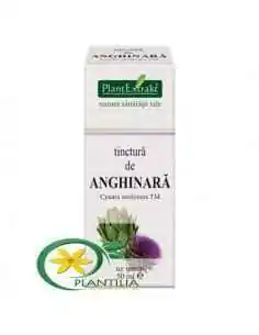 Tinctura de Anghinara 50ml PlantExtrakt, REMEDII NATURISTE 2