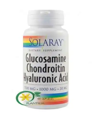 Glucosamine Chondroitin Hyaluronic Acid 60 capsule Solaray, REMEDII NATURISTE