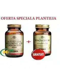 Pachet Glucozamina-Acid Hialuronic-Condroitina-MSM 60 tablete + Magneziu cu B6 GRATIS  Solgar, REMEDII NATURISTE