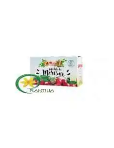 Ceai Merisor 20 plicuri AdNatura, REMEDII NATURISTE