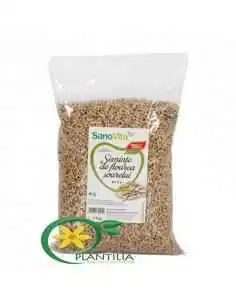 Seminte de Floarea Soarelui 1kg SanoVita, REMEDII NATURISTE