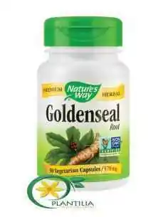 Goldenseal 30 cps Secom Nature's Way 2