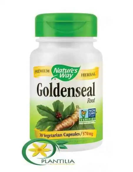 Goldenseal 30 cps Secom Nature's Way, Terapia Diabetului