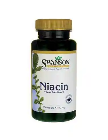 VITAMINA B3 (NIACINA) 100MG 250CPS SWANSON, Sistemul nervos