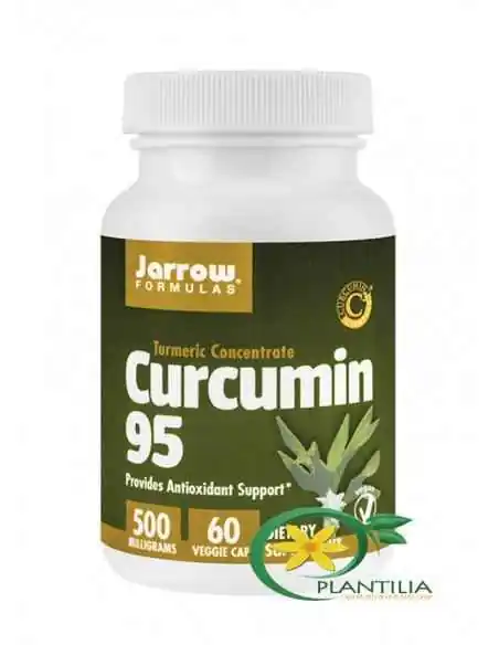 Curcumin 95 500mg Secom, Sistemul nervos