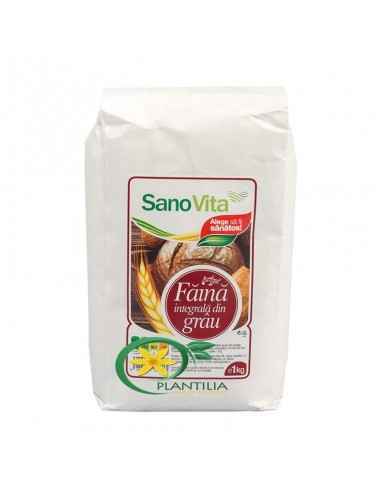 



Faina Integrala de Grau 1kg SanoVita

Este un aliment de bază într-o alimentație echilibrată și sănătoasă.




