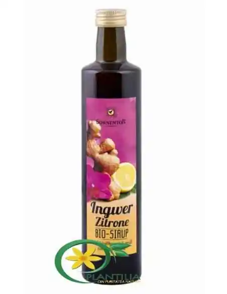 SIROP GHIMBIR SI LAMAIE FARA ZAHAR ECO 500ml (sticla) SONNENTOR, Terapia Diabetului