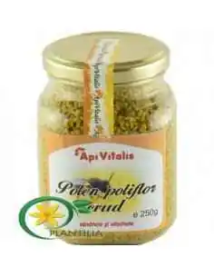 Polen crud poliflor 230g Apivitalis, VITAMINE SI MINERALE 2