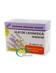 Ulei de Levantica 40cps Hofigal, Sistemul nervos