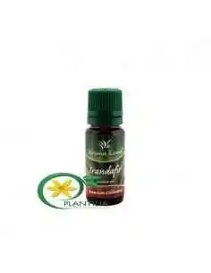 Ulei Aromaterapie Trandafir 10ml Aroma Land, CATEGORII PRODUSE 2