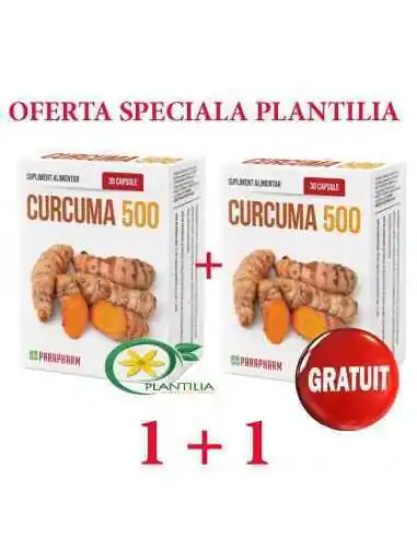 Curcuma 500mg 1+1 GRATUIT Parapharm, Sistemul nervos