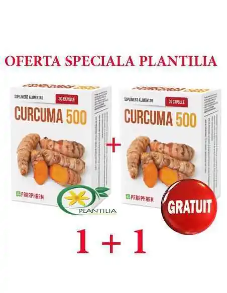 Curcuma 500mg 1+1 GRATUIT Parapharm, Sistemul nervos