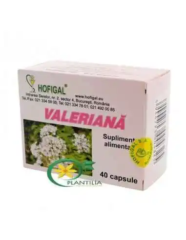 Valeriana 40cps Hofigal, Stres