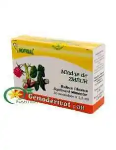 Gemoderivat Mladite de Zmeur - Hofigal, Tulburari Hormonale