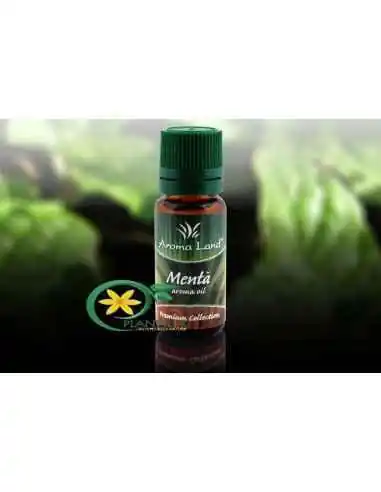 Ulei Aromaterapie Menta 10ml Aroma Land, CATEGORII PRODUSE