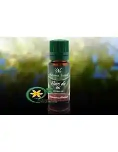 Ulei Aromaterapie Flori de Tei 10ml Aroma Land, CATEGORII PRODUSE