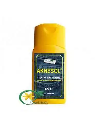 Aknesol Lotiune Antiacneica 60 ml, Sanatatea pielii