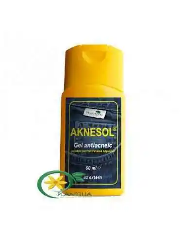 Aknesol Gel Antiacneic 60 ml, Sanatatea pielii