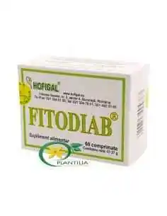 Fitodiab 60 cpr Hofigal, Terapia Diabetului